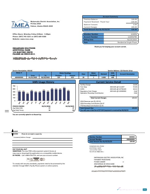 USA MEA Alaska electricity business utility bill template in Word and PDF formats